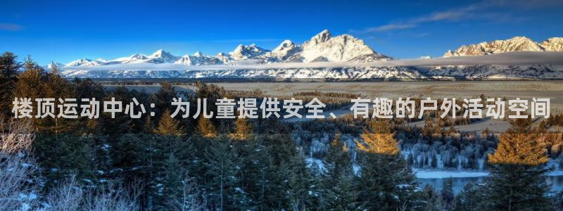 熊猫体育娱乐网站：楼顶运动中心：为儿童提供安全、有趣