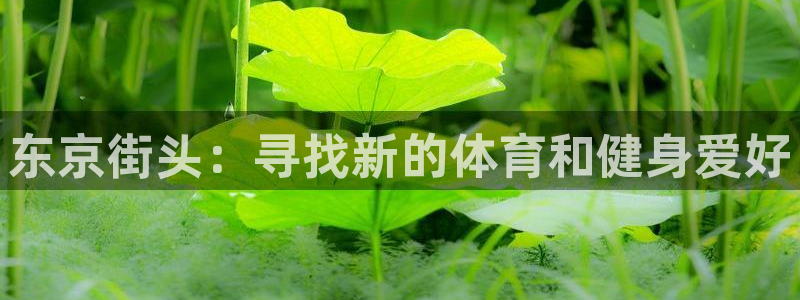 熊猫体育官网下载平台注册：东京街头：寻找新的体育和健身爱好